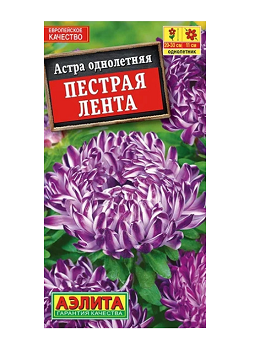  Астра Пестрая лента цв Аэлита