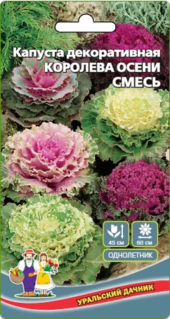  Капуста декорат Королева осени смесь цв Урал.Дачник