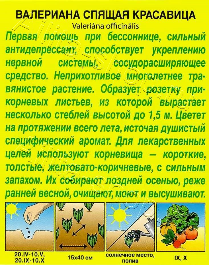  Валериана Спящая красавица 0,05г цв Аэлита
