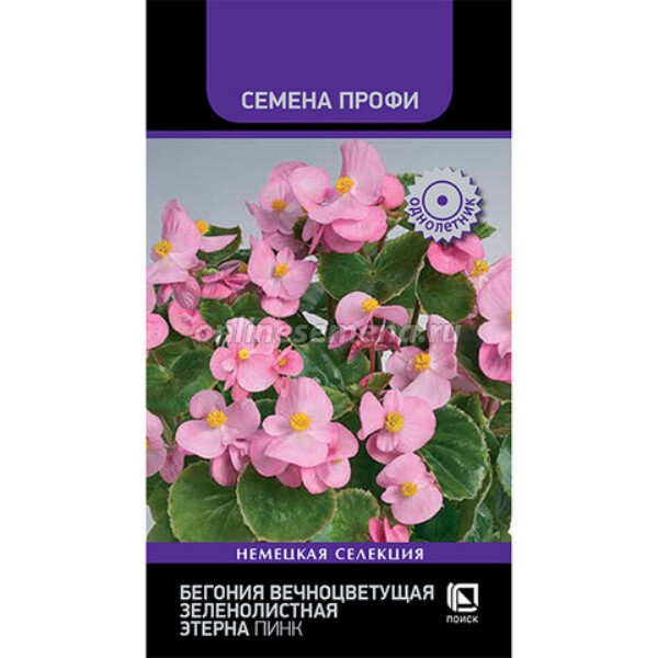  Бегония вечноцв зеленолист Этерна Пинк 10шт цв Семена Профи 