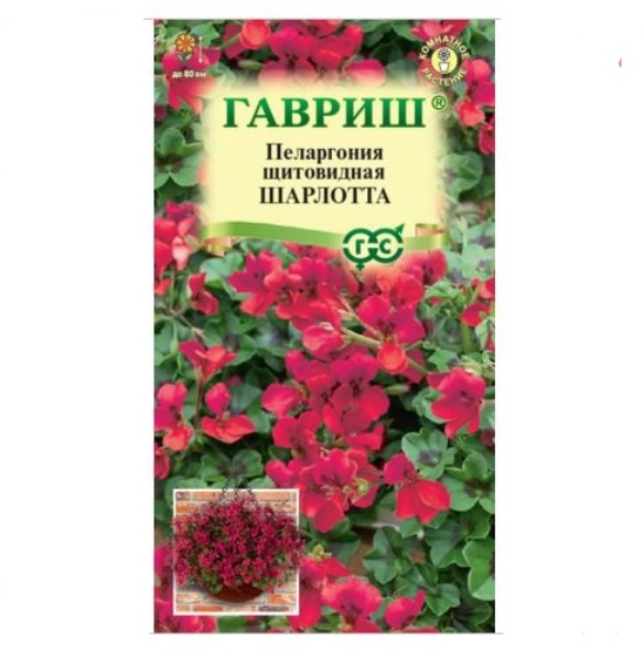  Пеларгония Шарлотта ампель 3шт Н22 Гавриш
