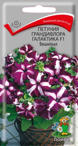  Петуния грандифлора Галактика вишневая 10шт цв Поиск