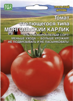  Томат стелящийся Монгольский карлик цв Урал.Дачник б/ф