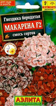  Гвоздика Макарена F2 смесь Цв Аэлита