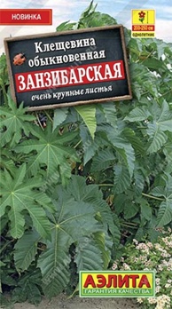  Клещевина Занзибарская цв Аэлита