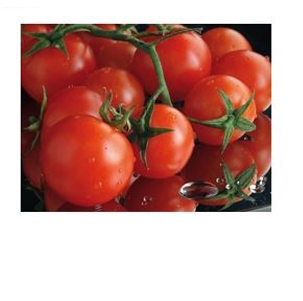  Томат Гаидас 0,1г Россельхозцентр