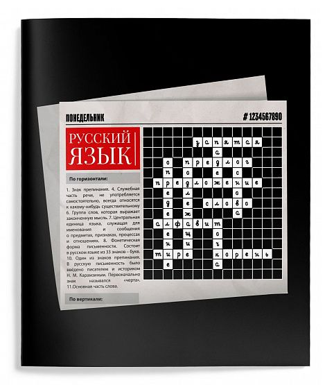  Тетрадь 48л линия Schoolformat Уникальн.подход Русский язык 249144