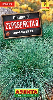 Овсяница Серебристая многолетняя 5шт цв Аэлита