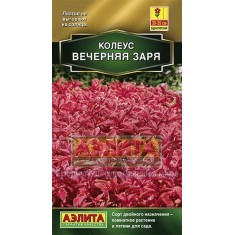  Колеус блюме Вечерняя заря цв Аэлита