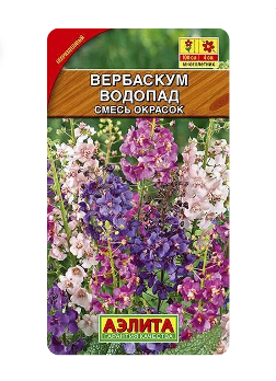  Вербаскум Водопад смесь цв. Аэлита