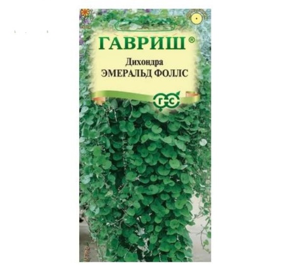 Дихондра Эмеральд Фоллс 3шт Гавриш