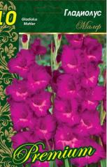 Гладиолус Малер 10-12/К 10шт