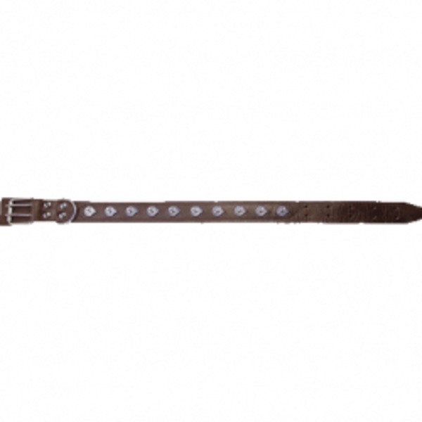  Ошейник 45мм кожа украшение 1061