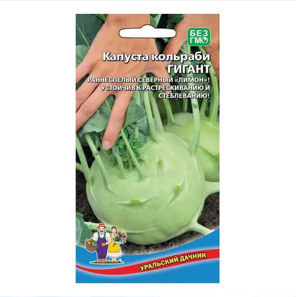  Капуста кольраби Гигант цв Уральский Дачник