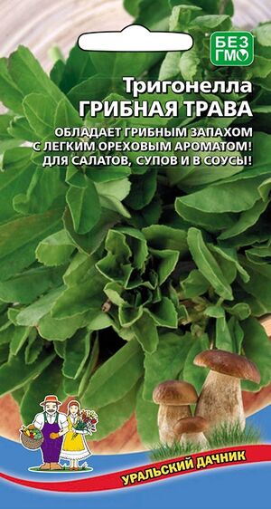  Тригонелла Грибная трава цв Уральский Дачник