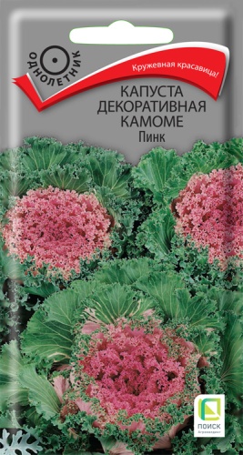  Капуста декоративная Камоме Пинк 10шт цв Поиск