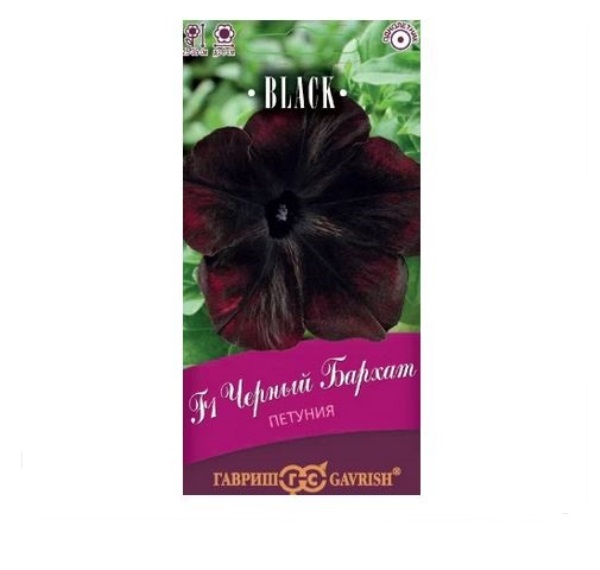  Петуния Черный бархат F1 4шт Блэк Гавриш