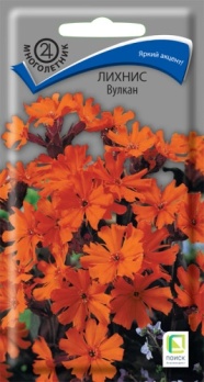  Лихнис Вулкан 0,1г цв Поиск
