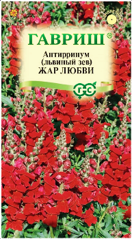  Антирринум (львиный зев) Жар любви 0,05г цв Гавриш