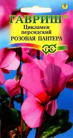  Цикламен Розовая пантера персидский 3шт цв Гавриш