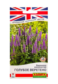  Вероника колосистая Голубое веретено цв Аэлита