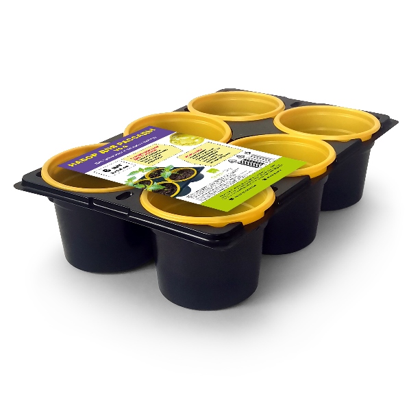  Набор горшков для рассады 9*6,8см 6шт+подстав v9.6 83121550