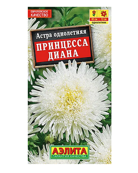  Астра Принцесса Диана цв Аэлита