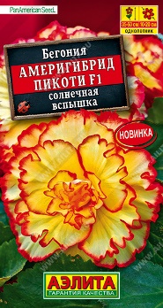  Бегония Америгибрид Пикоти F1 солнечная вспышка цв Аэлита