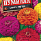 Цинния Пумилла смесь цв Аэлита