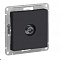 Розетка TV коннектор карбон AtlasDesign ATN001093 Schneider 1240561