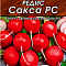 Редис Сакса РС 2г цв Аэлита (лидер)