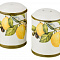 Набор для специй керамика 2пр Agness Лимон три 358-1545