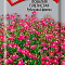 Лобелия плетистая Рубиновый фонтан 0,1г цв Поиск