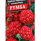 Вербена гибридная Румба цв. Аэлита