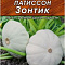 Патиссон Зонтик 12шт цв Аэлита (лидер)