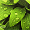 Коврик для комп мыши 220*180*0,4 Sticker Defender 50405
