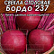 Свекла столовая Бордо 237 цв Аэлита (лидер)