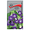 Азарина лазающая фиолет 10шт цв Поиск