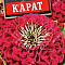Цинния Карат цв Аэлита