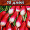 Редис 18 дней 6г цв Аэлита (х2)