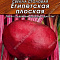 Свекла столовая Египетская плоская 2г цв Аэлита (лидер)