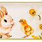 Блюдо 28х12х3см Sunday 358-2192 Agness