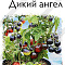 Томат Дикий ангел 10шт цв Аэлита