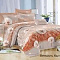 КПБ 2,0 микросатин Satin collection 2138 Лёгкость бытия