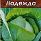 Капуста белокочанная Надежда 0,5г цв Аэлита