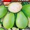 Баклажан Грин гриль 0,1г цв Аэлита