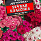 Флокс Вечная классика смесь цв Аэлита (лидер)