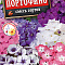 Флокс Портофино смесь цв Аэлита