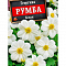 Георгина Румба белая цв.Аэлита