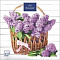 Салфетки бумажн. Art Bouquet 3-х сл 20шт Корзина с сиренью 33х33см 37410